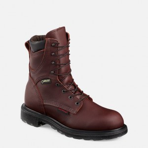 Men's Red Wing SuperSole® 2.0 Work Boots | 716385-UPL