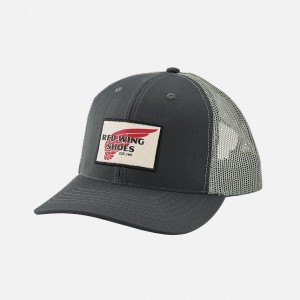 Red Wing Embroidered Logo Ball Hats | 346127-VAO